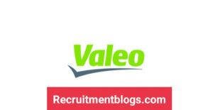 Valeo Egypt Internship Program 2022