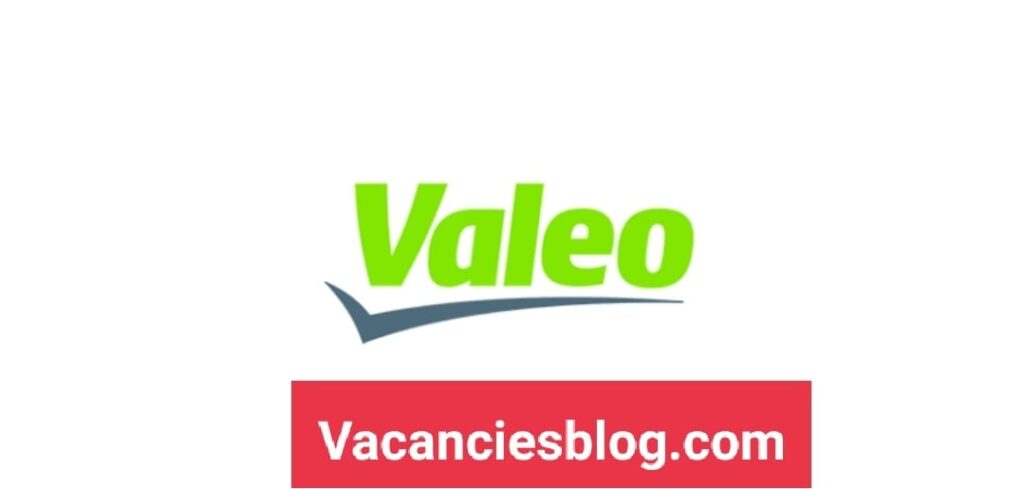 Admin Coordinator At Valeo Egypt