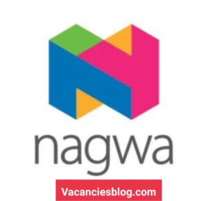 remote teaching jobs from home at Nagwa Egypt