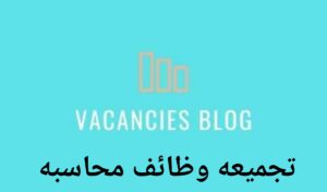 Junior and Experienced Accounting Jobs In Egypt