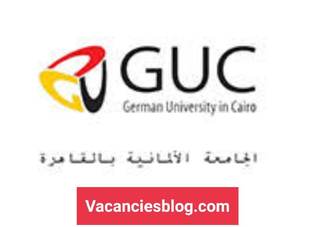 Teaching and Research Assistant - Business Informatics at German University in Cairo