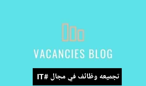 it vacancies in egypt