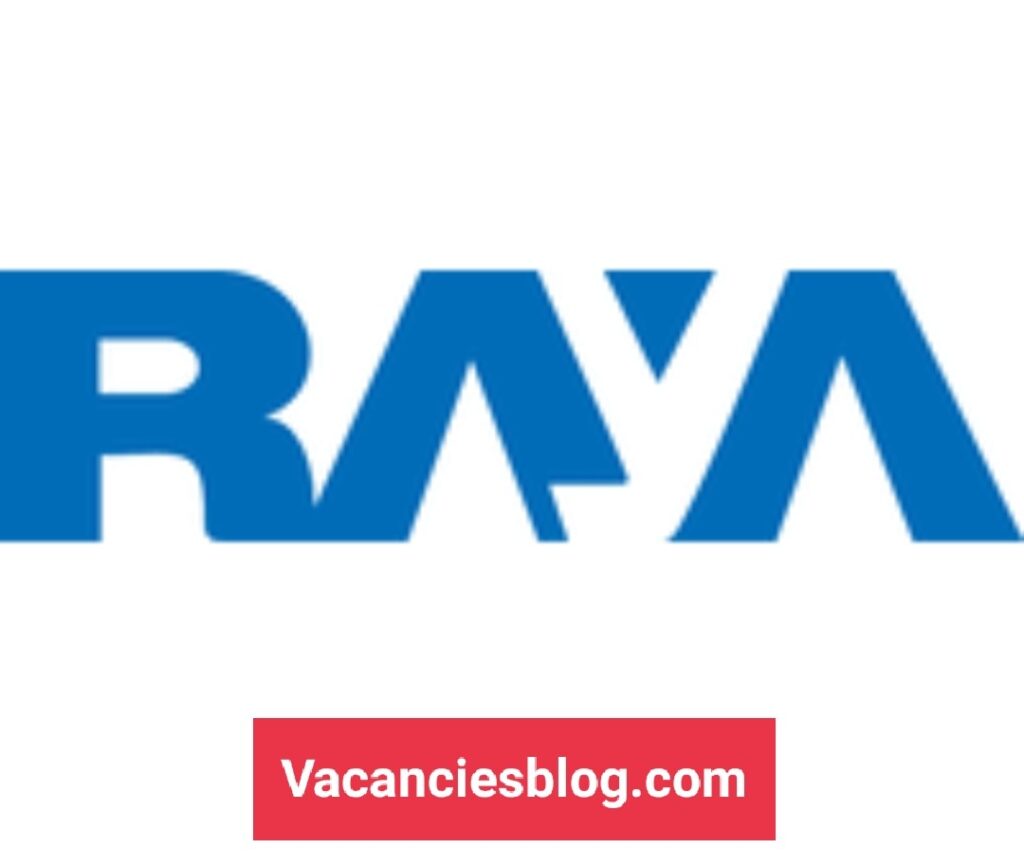 Network Security Engineer At Raya Information Technology