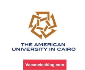 IT Help Desk Specialist At The American University in Cairo