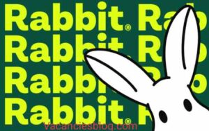 Rabbit's summer internship program