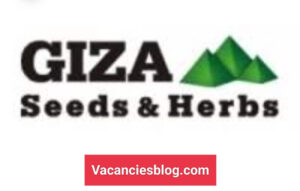 IMG 20220809 170040 1 Commercial Business Analyst At Giza seeds & Herbs vacanciesblog