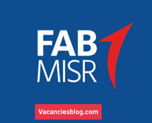 Health and Safety Senior Officer At FAB Misr