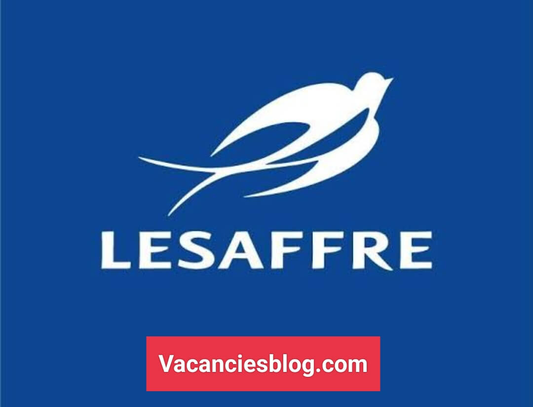 IMG 20221006 121758 Home vacanciesblog