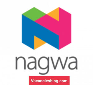 Sales Executive At Nagwa Egypt