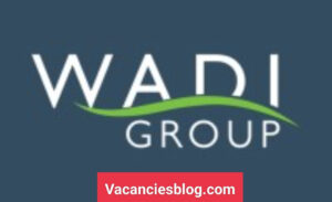 Junior Costing and Planning Analyst At Wadi Group Egypt