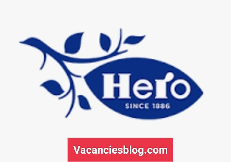 IMG 20221225 203253 Home vacanciesblog