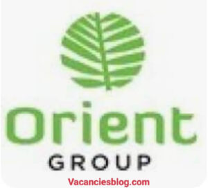 Production Engineer At Orient Group Egypt