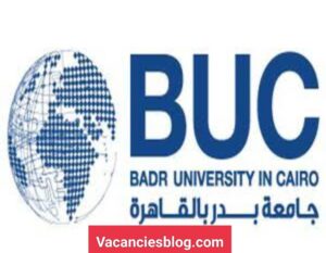 Teaching Assistant At Badr University in cairo