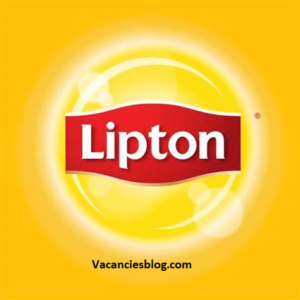 Lipton Egypt Summer Internship Program
