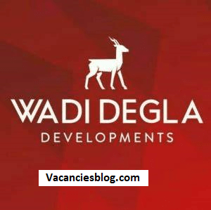 Summer Internship At Wadi Degla Developments