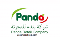 Accountant At Panda Egypt