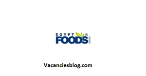 Egypt Foods Group’s Summer Internship Program Egypt Foods Group’s Summer Internship Program